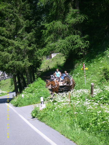 reise2010-07.jpg 